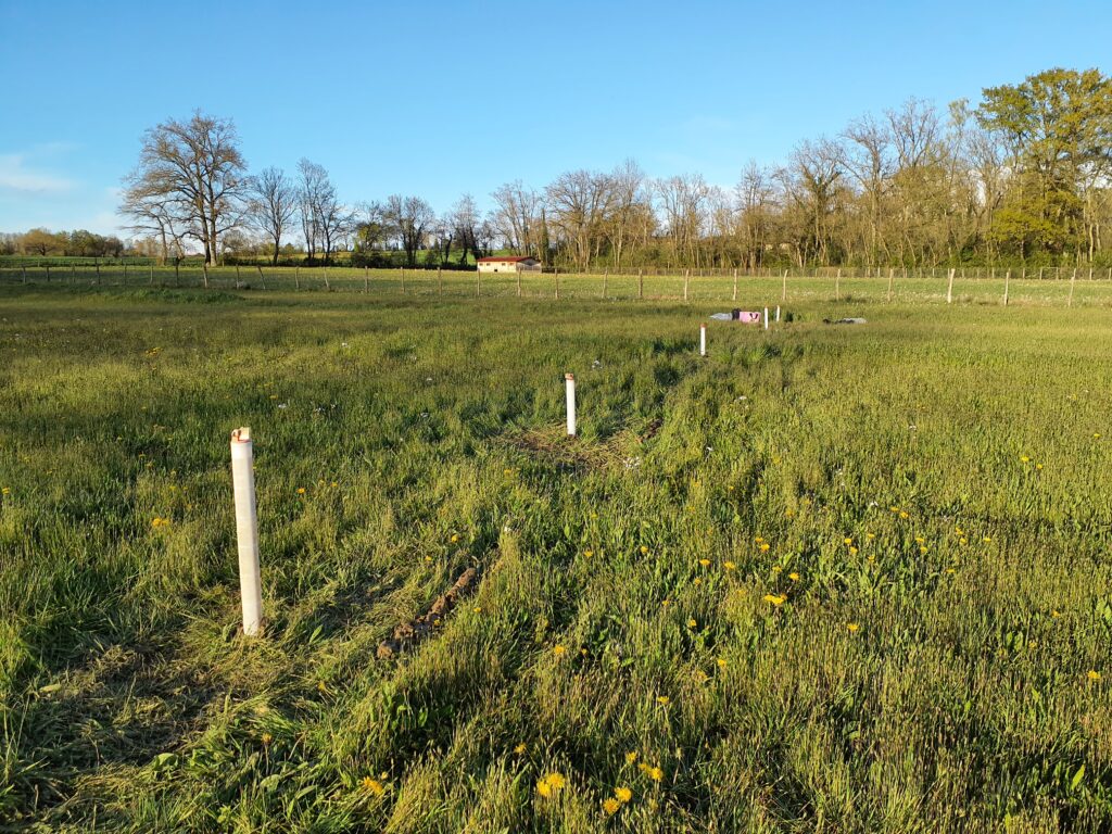 Transect de piézomètres