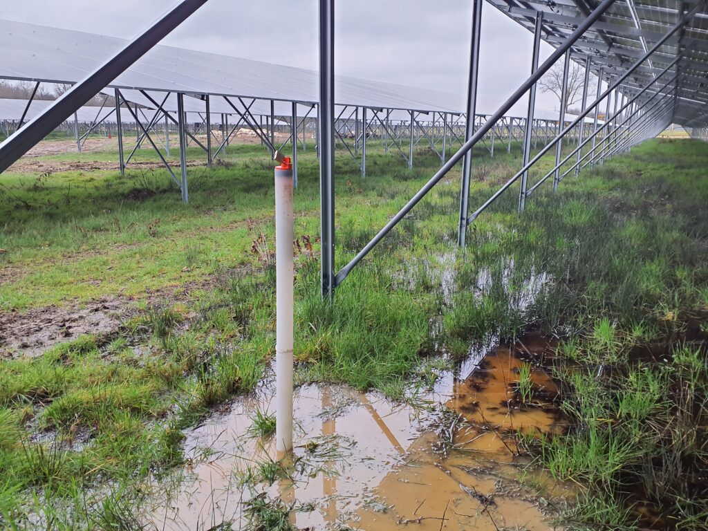 Un piézomètre dans une zone humide sous panneaux photovoltaïques